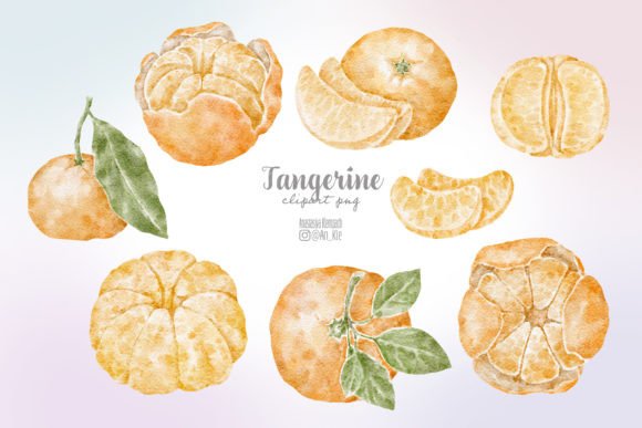 Download Tangerine Clipart Png - Clipart png Collection